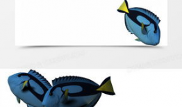 动漫鱼,梦幻海洋的奇幻之旅